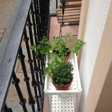 Apartamento En Carniceria Vieja Apartment *